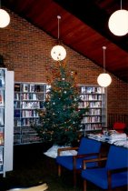 Christmas tree in the library